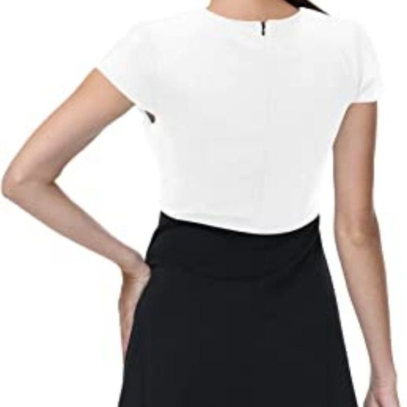 Women's Short Sleeve Peter Pan Collar Fit and Flare Skater Dress - Picture 4 of 4